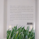 Sari Malkamäki : Sunnuntaina kahdelta : novelleja - pikkukuva 2