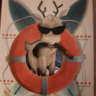 Reindeerspotting - Pako joulumaasta - DVD - pikkukuva 1