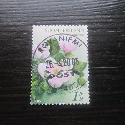 Omenankukka 2005