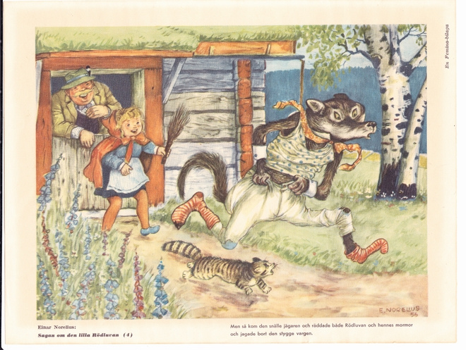 EINAR NORELIUS  PUNAHILKKA PIIRRETTY PAPERIKUVA