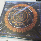 OZRIC TENTACLES - VITAMIN ENHACED M-/M- 6CD BOKSI - pikkukuva 2