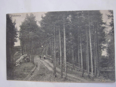 VANHA Postikortti Punkaharju 1909