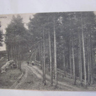 VANHA Postikortti Punkaharju 1909 - pikkukuva 1