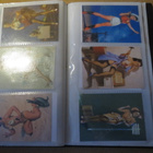 Business card holder - 81 erilaista pin-up kuvaa - pikkukuva 5