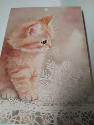 Kissa  kortti, kulkematon,vaikka kehyksiin tauluksi.