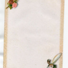 °°RUUSUT & SULKAKYNݰ -KIRJEPAPERIT & KUORET -SETTI /Nro11 - pikkukuva 2