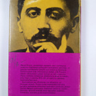 Marcel Proust : Kadonnutta aikaa etsimässä : Combray : Sw... - pikkukuva 2