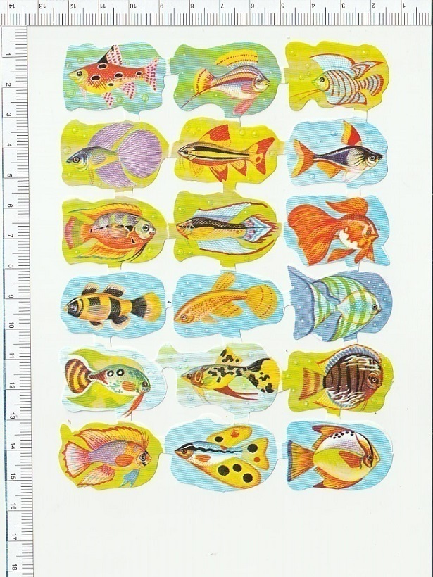*  upeat kalat, pikku-arkki, 15x11cm *