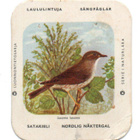 Kahvilappu SATAKIELI - pikkukuva 1