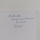 Reijo Heikkinen : Hailuoto - Perämeren helmi (signeerattu... - pikkukuva 3