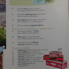 Viherpiha piha- ja puutarhalehti no 2 2009 - pikkukuva 3