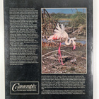 John Karmali : Birds of Africa - pikkukuva 2