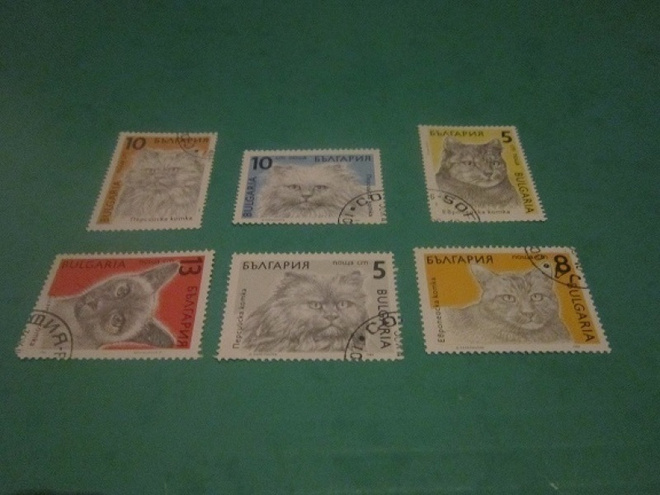 POSTIMERKKEJÄ   kissa aihe  6 kpl  Bulgaria