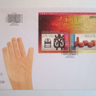 FDC 2.11.2007 TAIDEKÄSITY ENSIPÄIVÄ KUORI - pikkukuva 1