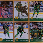 2024-25 Blueline Series 1 Ilves Team Set 12 korttia (25-36) - pikkukuva 1