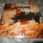Venom - Fallen angels vinyyli - pikkukuva 1