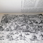 Graphic Worlds of Pieter Bruegel the Elder - H. Arthur Klein - pikkukuva 4
