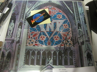 TNT - INTUITION LP TEKRON NIMMARILLA+