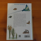 Julian Davison & Bruce Granquist:Balinese Flora & Fauna.Sid. - pikkukuva 2