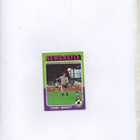 Purkkakuva Jalkapallo n:o 69 1973-74 TERRYHIBBITT. NEWCASTLE - pikkukuva 1