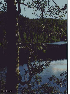 kortti ** Kuusamo valokuvataidetta tai luontoa - erilaisia