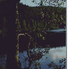 kortti ** Kuusamo valokuvataidetta tai luontoa - erilaisia - pikkukuva 1