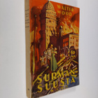 Walter Wood : Surman suusta : merkillisesti pelastuneiden... - pikkukuva 1