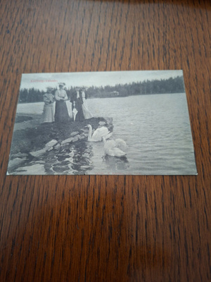 10 Hämeenlinna Karlberg Joutsenlampi