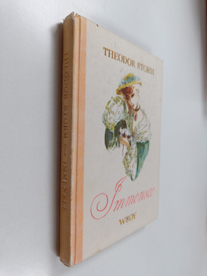 Theodor Storm : Immensee ja muita novelleja