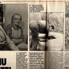 Uusi Maailma n:o15 1977 Soile. Kalle. Palikaisten kartano. - pikkukuva 4