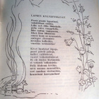 Aili Laurila (t.): Äiti ja lapsi (1.p) - pikkukuva 2