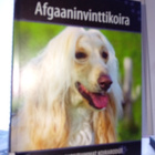 AFGAANINVINTTIKOIRA ( Sis.postikulut ) - pikkukuva 1
