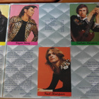 Roxy Music LP - pikkukuva 4