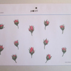 FDC ENSIPÄIVÄKUORI RUUSU 1.3.2004 YKKÖSLUOKKA - pikkukuva 2