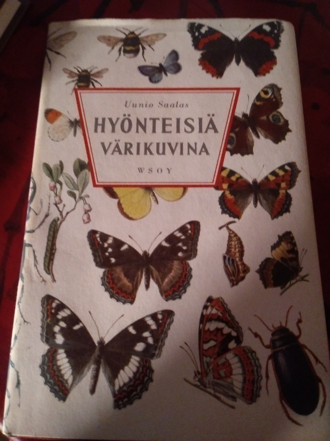 HYÖNTEISIÄ VÄRIKUVINA : UUNIO SAALAS