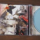 CMX: Dinosaurus Stereophonicus 2CD - pikkukuva 1