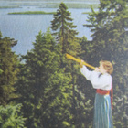 LIEKSA.....Koli, "torvensoittaja", vanhempi värikortti. - pikkukuva 2