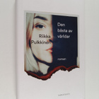 Riikka Pulkkinen : Den bästa av världar - pikkukuva 1