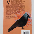 Marjatta Savolainen : Velhomatka - pikkukuva 2