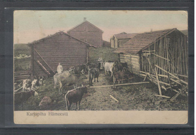 v. 1910/20-luku Karjapiha Hämeestä