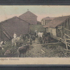 v. 1910/20-luku Karjapiha Hämeestä - pikkukuva 1