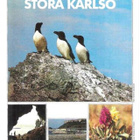 kortti ** Eläin ympäri maailmaa - erilaisia - pikkukuva 4