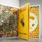 The Bees ( Blu-ray + DVD ) 1978 - pikkukuva 2