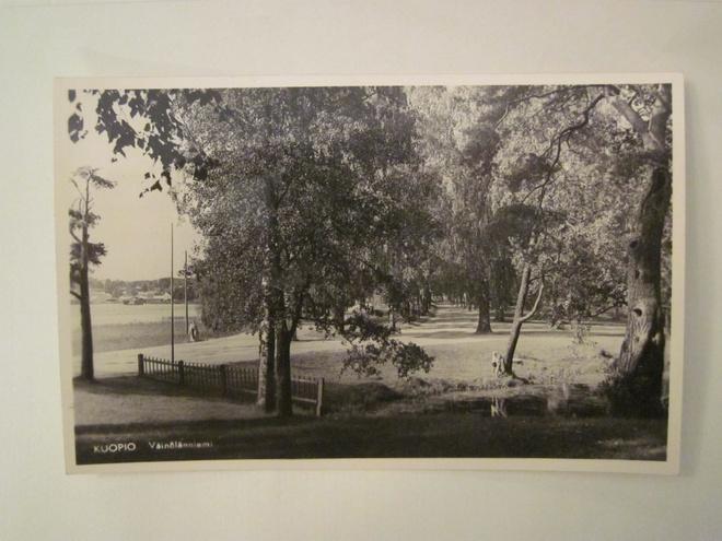 VANHA Postikortti Kuopio 1950-l Alkup.Mallikappale