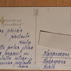 kukkakortti, posliinikukka, valokuva, käsipostia - pikkukuva 2