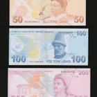 Turkki 5-200 Lirasi 2009, P222-P227, UNC - pikkukuva 5