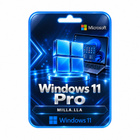 Windows 11 Pro elinikäinen lisenssi – suomi ja muut kielet - pikkukuva 1