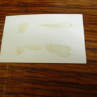 valokuva 6,5x4 sa - autoa korjataan itäkarjalan tiellä - pikkukuva 2