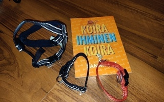 Koiralle 2* panta ja valjaat