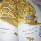 Debi Gliori Hyvää yötä maailma - pikkukuva 3